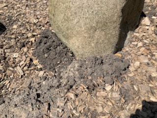 38FE6565-C71B-4FC0-A161-FC04DB1D7836