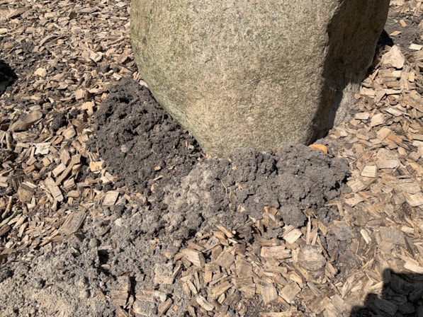 38FE6565-C71B-4FC0-A161-FC04DB1D7836