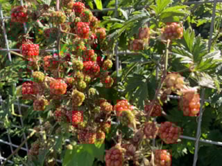 6C7F7606-F9AE-4C26-8D6A-C725A596FB50